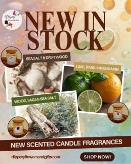 New Scented Soy Candle Fragrances Now In Stock!
🍋‍🟩🍊🕯️🏝️🪾🌱

Visit: dippetyflowersandgift.com

#soycandles #giftideas #newstockalert🔥🔥