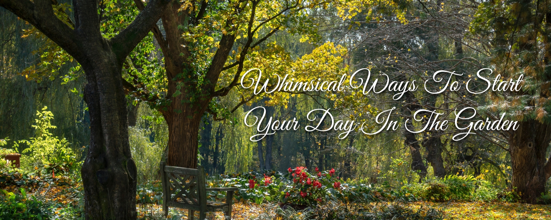 Magical Morning In The Garden