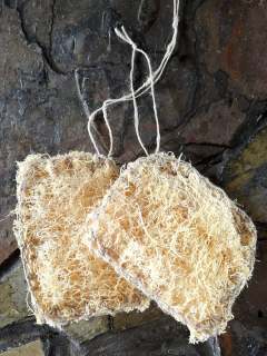 Loofah sponge "scrubber dubbers" never looked so cute ❤️🧽🫧🧼🌱

#homegrown #ecocleaning #sustainableliving #biodegradable