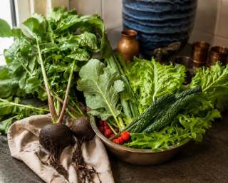 🌿 Straight from our garden to our table. 🌿
There's something incredibly rewarding about harvesting your own food. Today's harvest included earthy radish, crisp kale, mustard & dandelion, with the sweet side of native raspberries. Grown with patience, sunshine, and a little love. 💚

Not every vegetable is perfect, but that's the beauty of homegrown produce & if other things want to eat it, then so do you. Fresh, seasonal, chemical-free, and picked just moments before dinner.

These are the quiet moments that remind us why we garden. 🌱

What's growing in your garden this season? 
We'd love to see your harvest! 🍓🥬

#HomegrownHarvest #GrowYourOwnFood #SlowLiving #GardenToTable #FreshFromTheGarden🌿